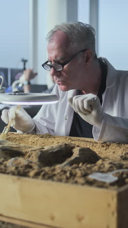 paleontologist examining fossil