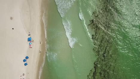drone aéreo de olas verdes y bañistas en la playa de la ciudad de panamá, florida