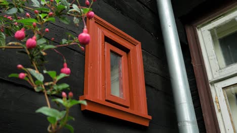 exterior view of black painted old traditional wooden residential house, small red window, red flowers in the foreground, overcast day, medium handheld shot