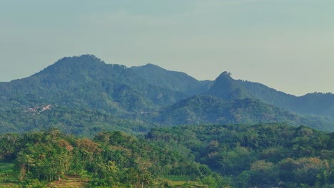 aerial view of forest and hill in indonesian countryside. 4k drone footage.
