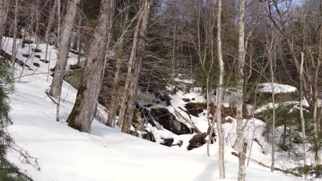 View-of-the-snow-covered-forest-with-running-water-creek