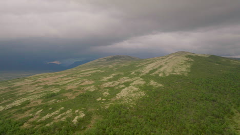 Elevador-Aéreo-Revela-El-Desierto-Boscoso-De-La-Cordillera-De-Dovrefjell,-Noruega