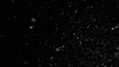 winter snow, falling snow isolated on black background