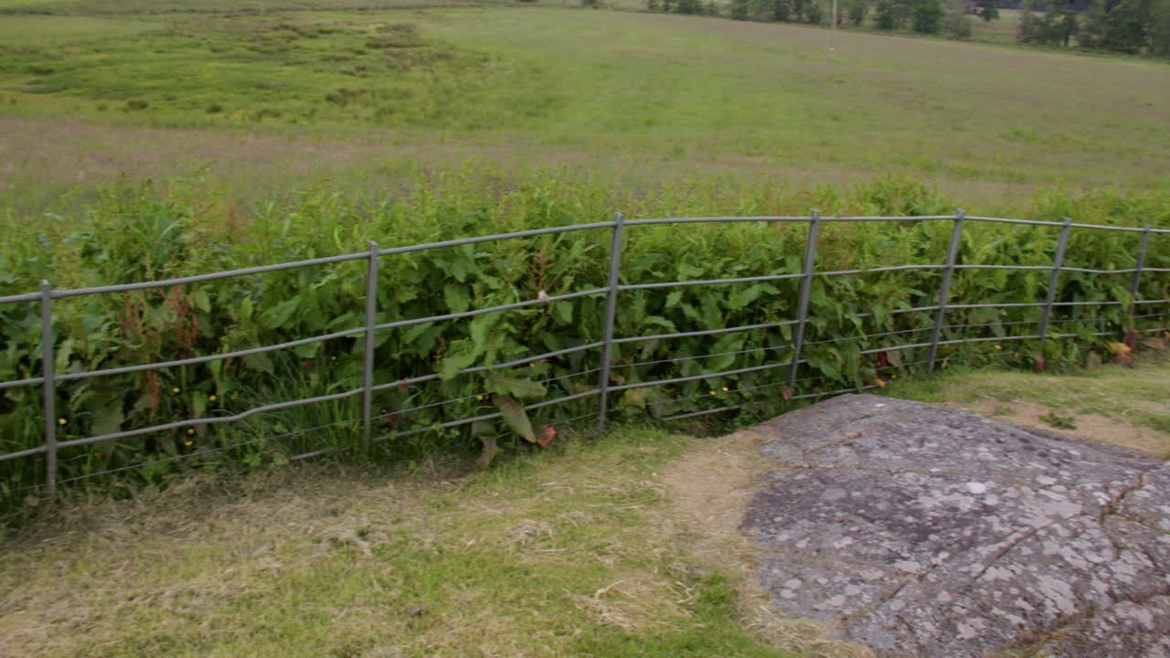 Ampia ripresa panoramica da sinistra a destra dell'incisione a coppa e anello di Baluachraig in affioramento naturale di roccia a livello presso Kilmartin Glen