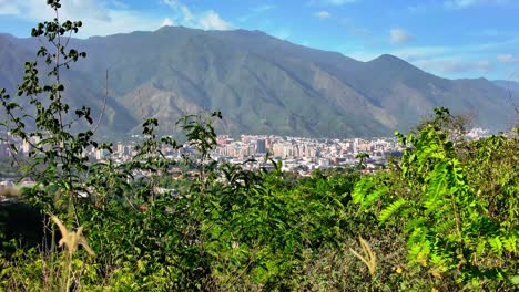 panoramic view caracas city nestled beneath towering avila mountains, lush foreground vegetation