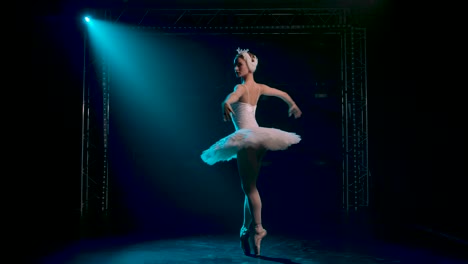 graceful ballerina dancing white swan part dancin 2023 11 27 05 10 20 utc.mov | action, amazing, art, artistic