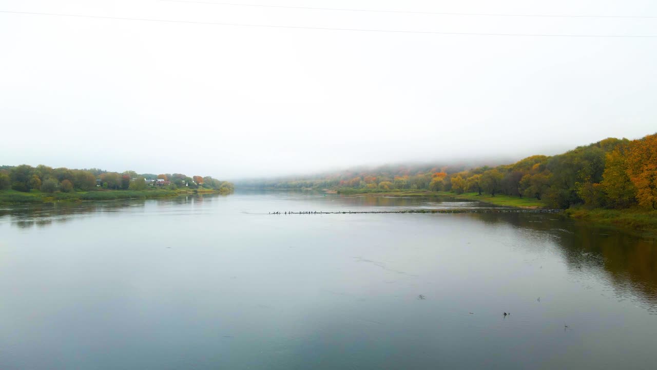 Aerial shot of stone pier on the Nemunas river with dense colorful forest and houses on the banks at sunrise in autumn