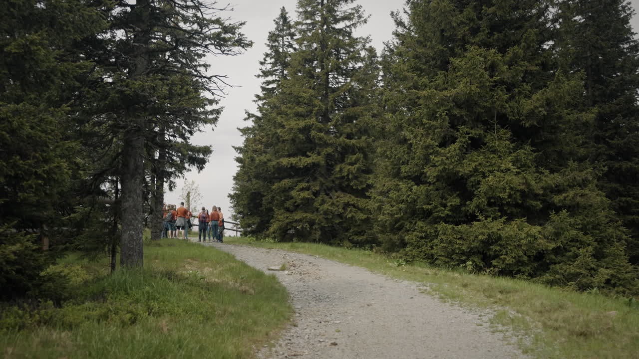 Camera tracking a group of young scouts talking in the middle of a macadam road near a spruce forest and a wooden fence