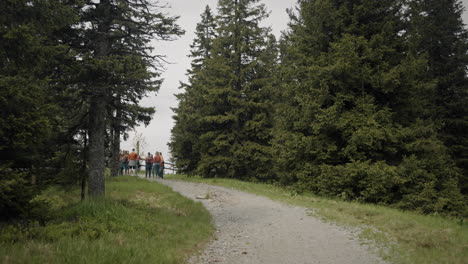 Cámara-Rastreando-A-Un-Grupo-De-Jóvenes-Exploradores-Hablando-En-Medio-De-Un-Camino-De-Macadán-Cerca-De-Un-Bosque-De-Abetos-Y-Una-Cerca-De-Madera