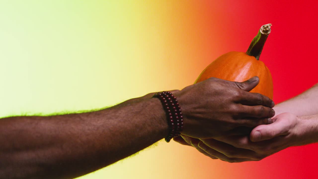 수박을 주는 손