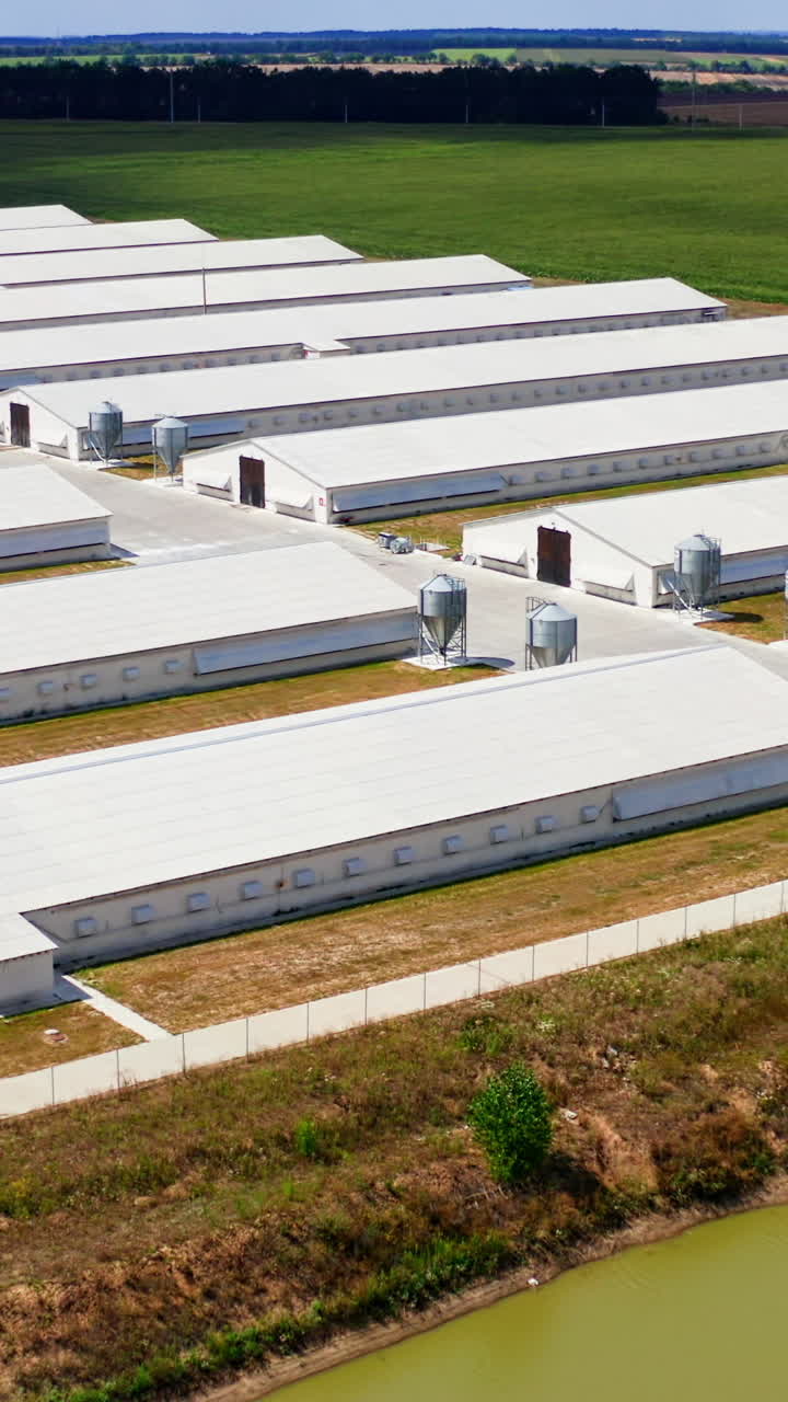 Modern white barns on field. Rows of farm houses in the rural place in summer. Camera moves forward. View from above. Vertical video