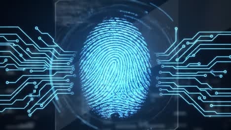 delve into the advanced technology of fingerprint recognition systems, showcasing their importance in enhancing security measures in everyday life and various industries.
