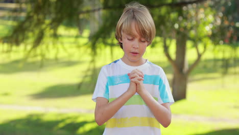 little boy saying his prayers in the park