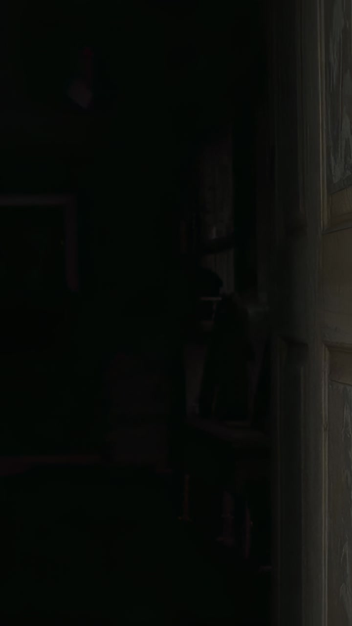 Vertical video: Filling right edge, wood-paneled door showing dim hall with shelf, lamp, copy space