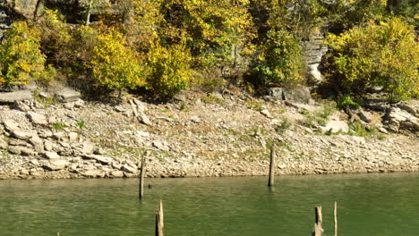 Troncos-De-árboles-Utilizados-Como-Pilotes-De-Madera-En-Un-Sereno-Lago-En-Bland,-Arkansas,-EE.UU.