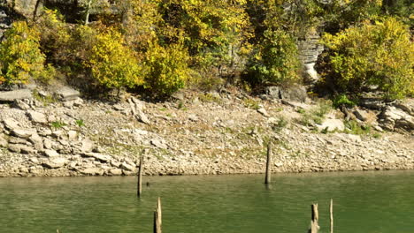 troncos de árboles utilizados como pilas de madera en el lago serene en bland, arkansas, estados unidos