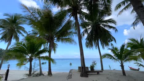 experience paradise at tatay ade beach resort on bantayan island, cebu, philippines, with its stunning white sands, crystal-clear turquoise waters, and swaying palm trees under a clear sky.
