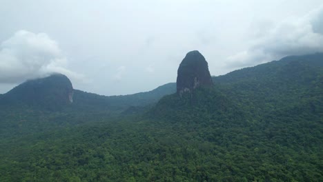 flying towards the peak joao dias pai and filho. the highest peak, with an estimated altitude of 644m, is the peak joão dias pai. its “son” is less high and reaches about 436m.ilha do principe,africa