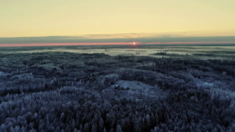 aerial of winter wonderland forest and sunset during golden hour and dusk