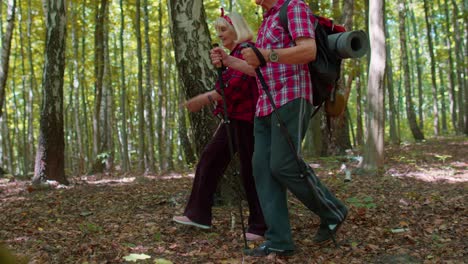 senior active hikers grandmother grandfather training nordic walking with trekking poles in forest