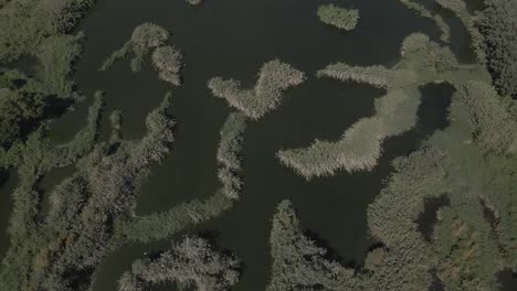 aerial views of a wetlands