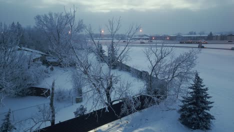 Drone-shot-of-a-frosted-tree-on-a-very-foggy,-winter-evening-with-freeway-traffic-in-the-background