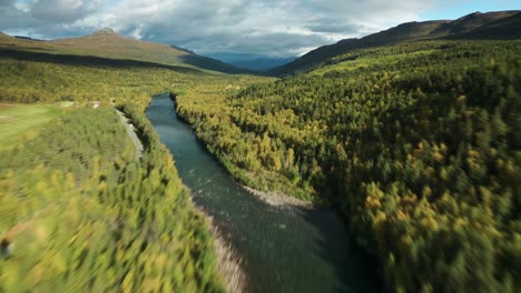 Un-Amplio-Valle-Cubierto-De-Bosques