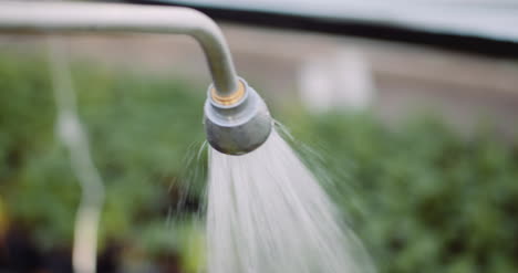 Female-Gardener-Watering-Flowers-Seedlings-5