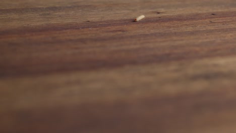 a moth larva moving across the wood surface - static shot