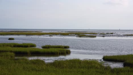 The-landscape-of-the-sea-bay,-the-calm-sea-and-the-thick-green-grass,-a-relaxing-day-,-Dundalk,-Ireland