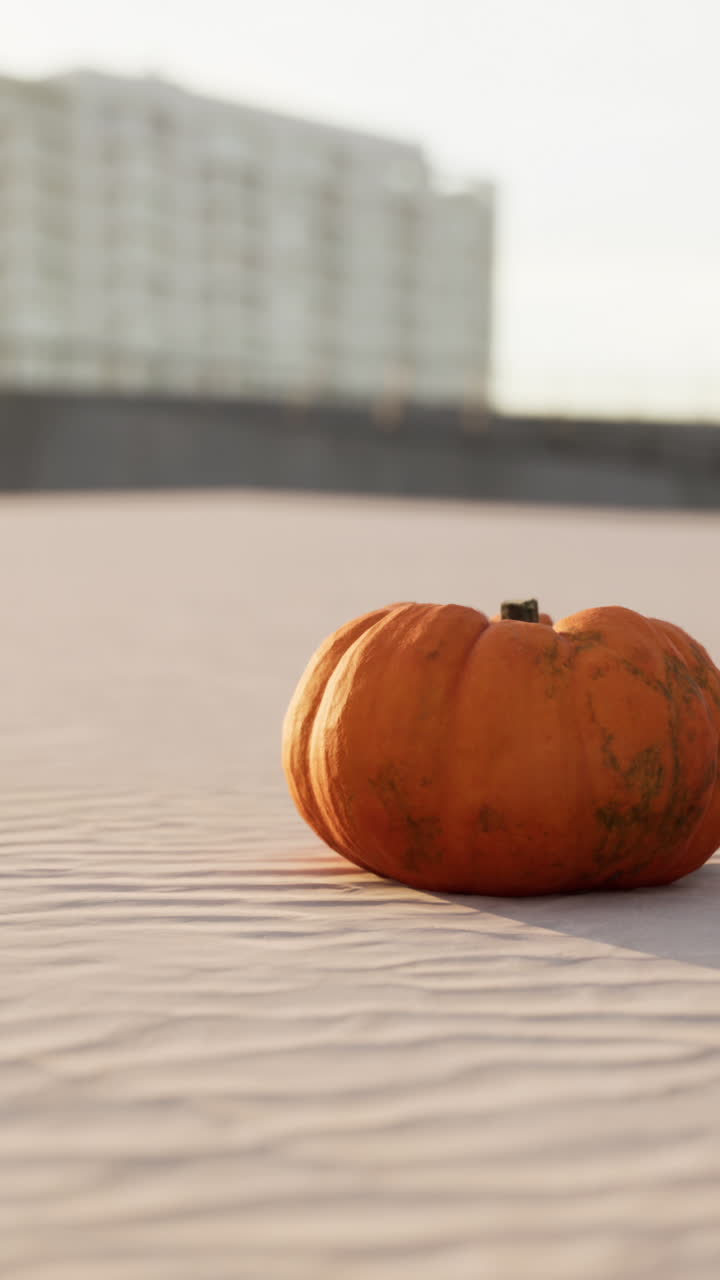 una sola calabaza en un fondo blanco
