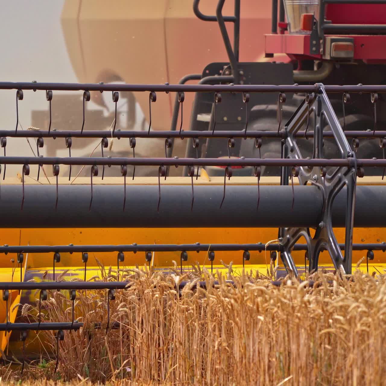 Machine farming countryside. Wheat harvesting in yellow field by big combine