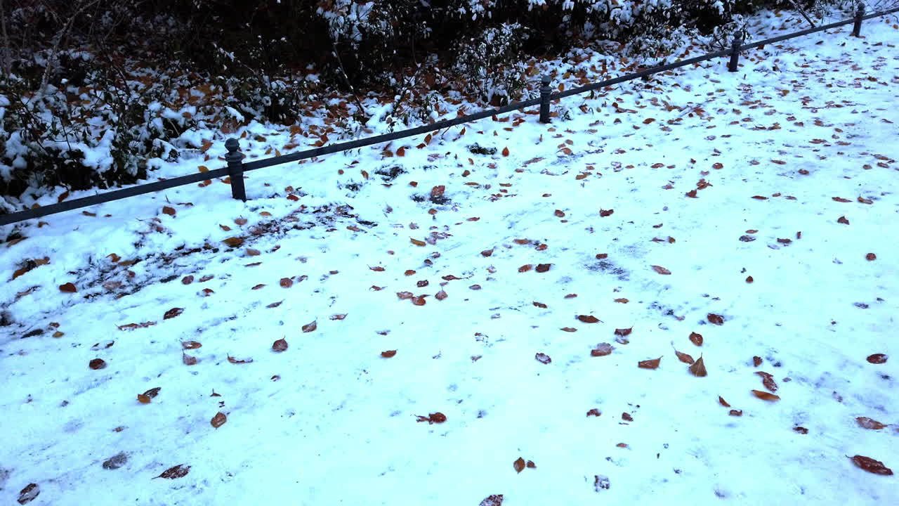 코너파크 베를린 독일 hd 60fps hd dji_0238 5초