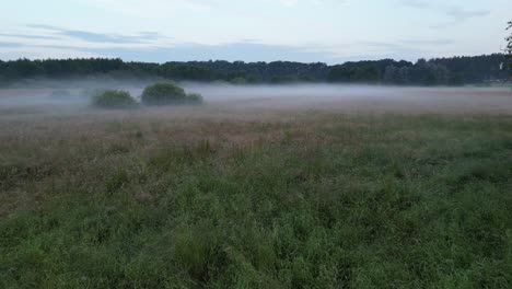 Drohnenflug-Auf-Einer-Nebligen-Wiese-Am-Frühen-Morgen