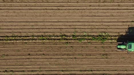 lapso de tiempo de un tractor de cosecha de patatas con dos personas de clasificación en su remolque haciendo sus trabajos agrícolas en cámara rápida