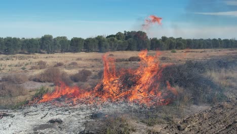 vista de las llamas de fuego en la granja. video en 4k.