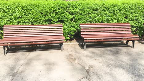 Two-Empty-Benches-in-the-City-Park