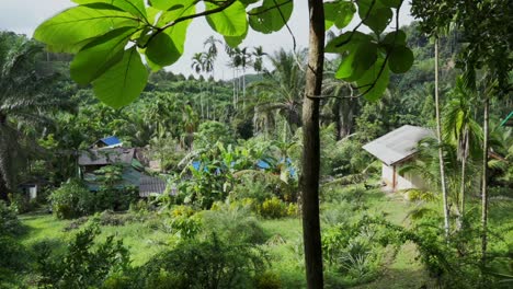 Toma-Panorámica-De-Casas-Escondidas-En-La-Jungla