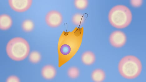 euglena undergoes fragmentation amidst a colorful, dynamic microbial environment. smooth transitions and vibrant hues create an engaging visual experience