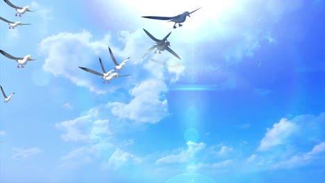 seagulls flying in the sky