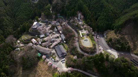 aerial view over buddhist temple with sakura trees in japan - drone shot