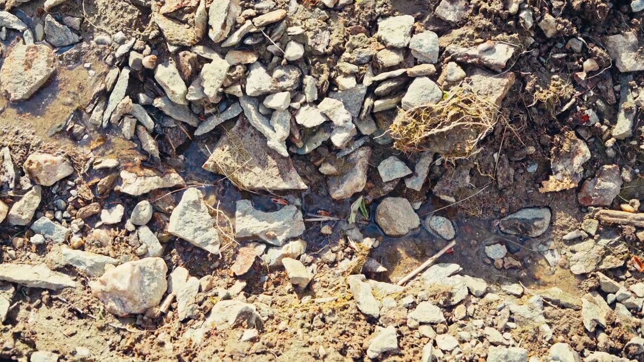 Water Flows Slowly Through Rocky Ground, Winding Between Stones And Uneven Terrain In A Natural Outdoor. Close-up Shot