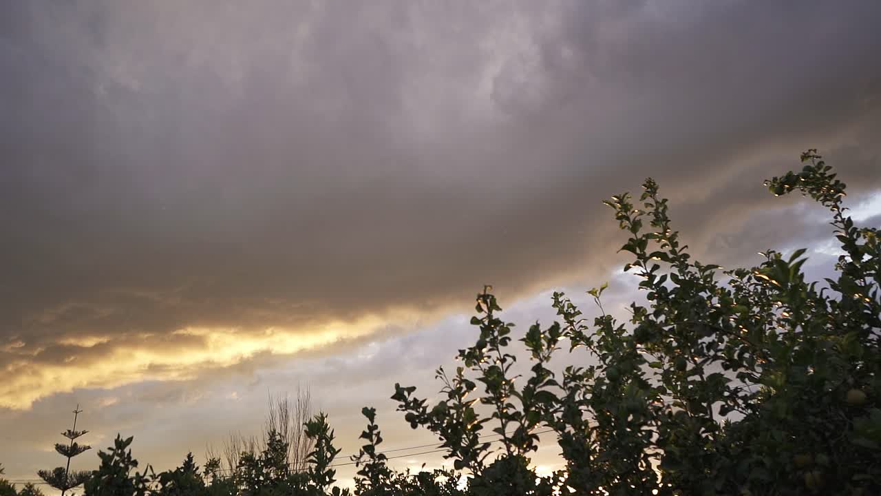 녹색 채소밭에 회색 구름이 있는 하늘의 아름다운 일몰