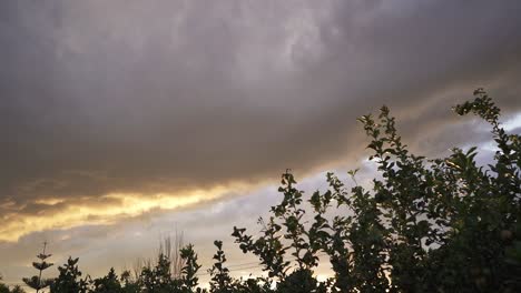 hermosa puesta de sol en el cielo con nubes grises en un huerto verde