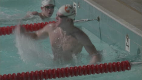 male swimmers reach the finish line one man raises his arms in victory