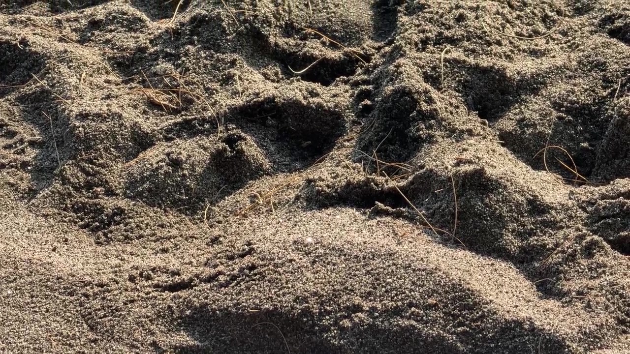 Close-up van donkere zandtextuur met droog gras