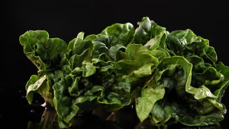 a rotating display of fresh bok choy on a reflective black surface with dramatic lighting