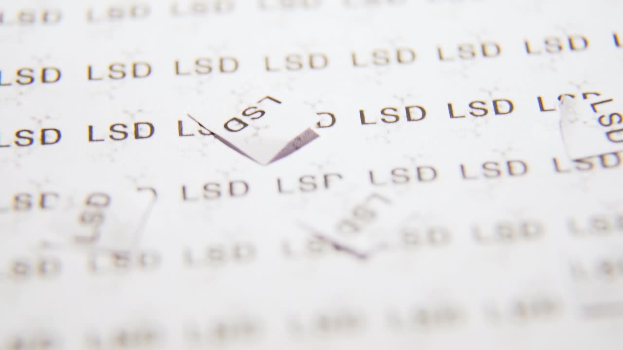 lsd를 시 ⁇ 레이션하는 문서