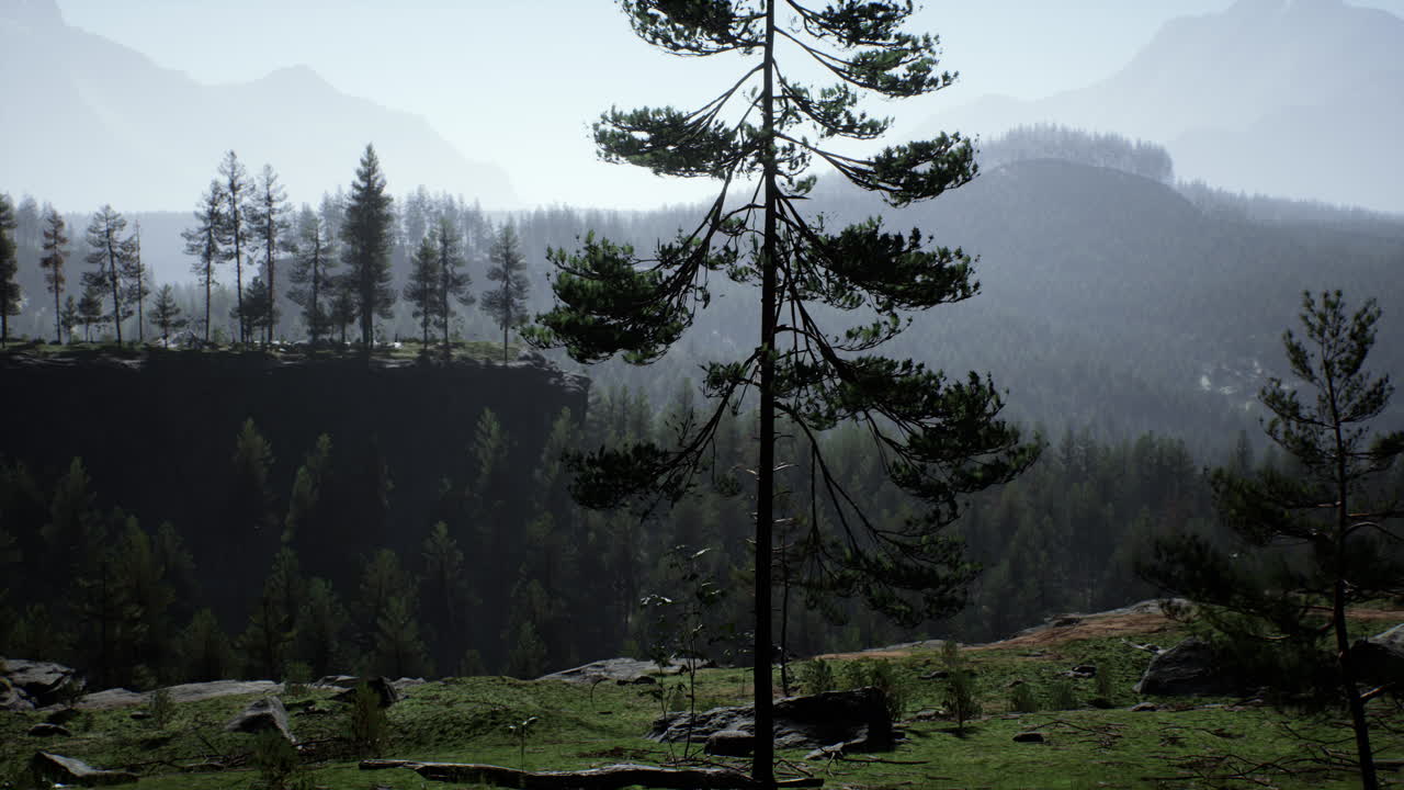 paisaje de bosque de montaña brumoso por la mañana