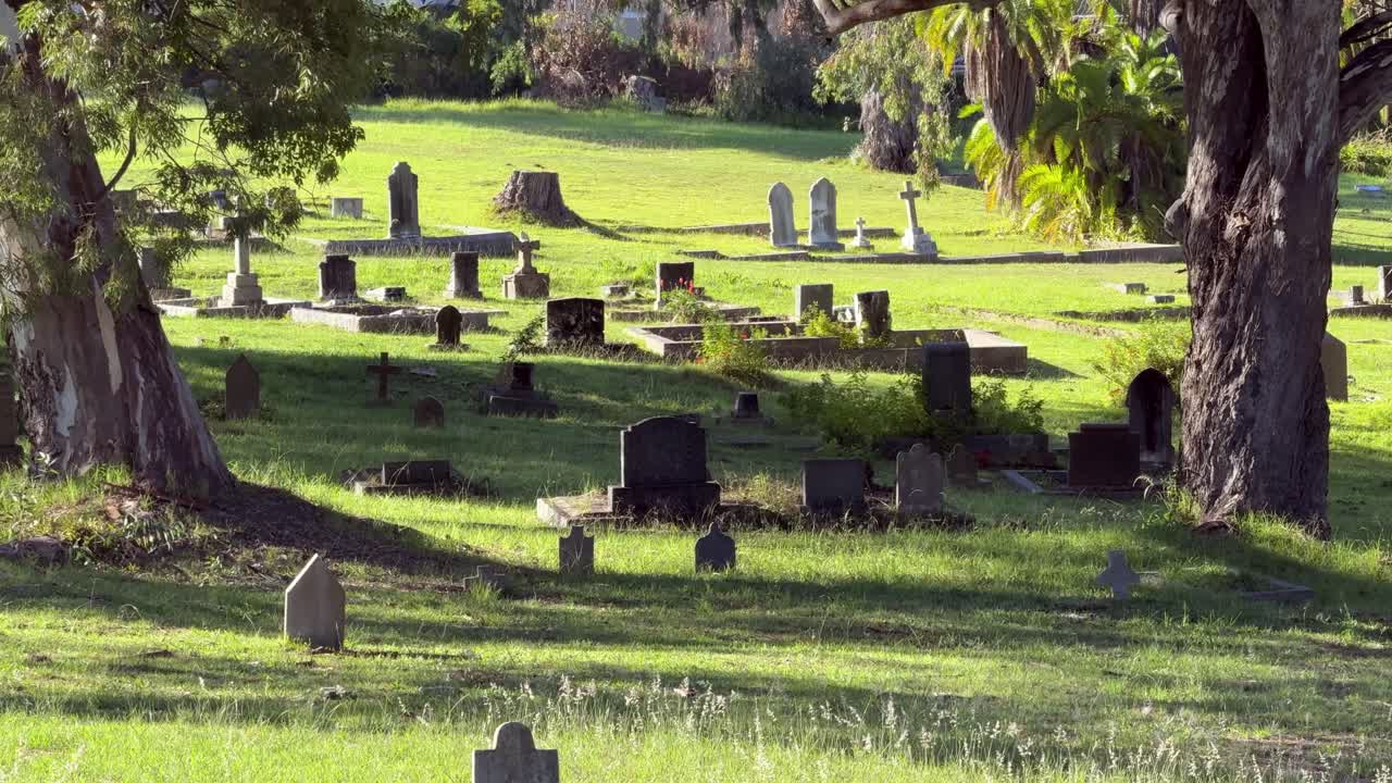 Graveyard in a old field